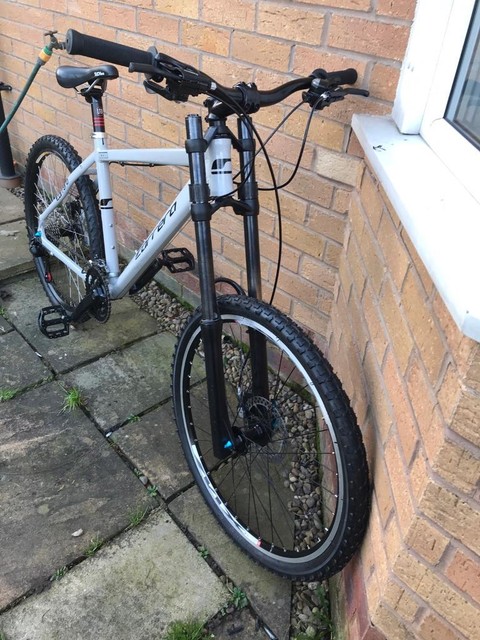 custom carrera mountain bike